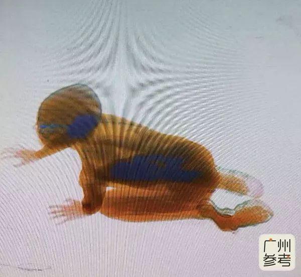 人过安检机的透视图片是咋样的?