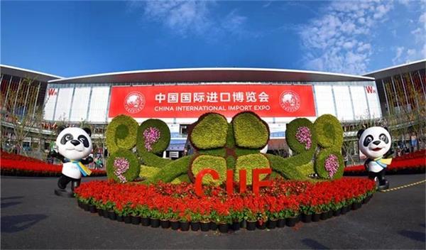 中国首届进博会选用掌门神安检设备